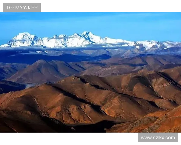 黄娜独家分享攀岩技巧与心得助你轻松征服高峰